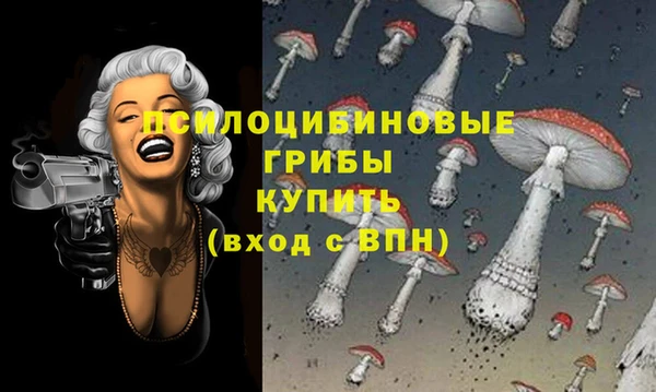 твердый Армянск