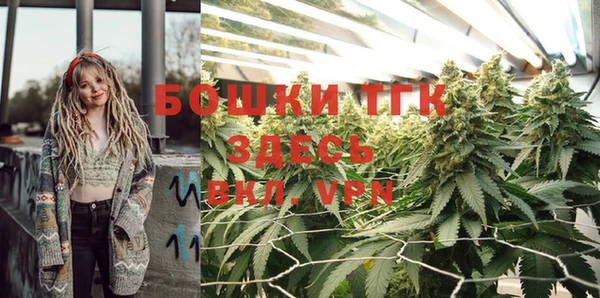 твердый Армянск