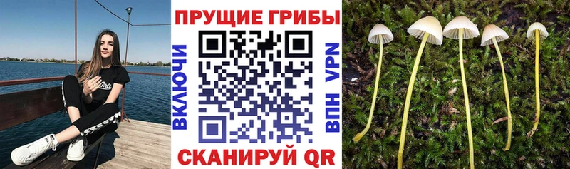 Галлюциногенные грибы мухоморы  omg вход  Голицыно 